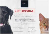 Сертификат сотрудника Курбанова А.З.