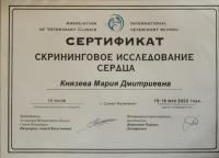 Сертификат сотрудника Князева М.Д.