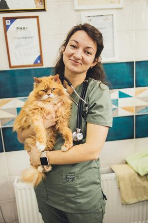 Фотография Казанская ветеринарная больница 1